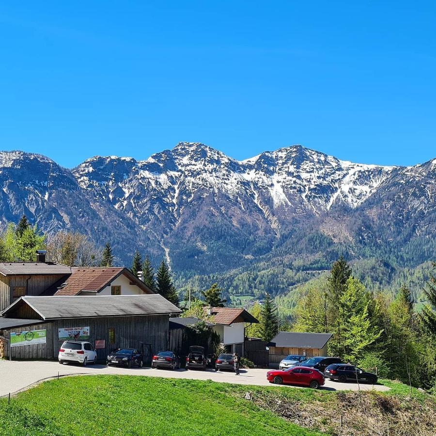 Hotel Lindwurm Бад Гоисерн Экстерьер фото